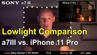 Sony a7III vs. iPhone 11 Pro - Low Light Comparison