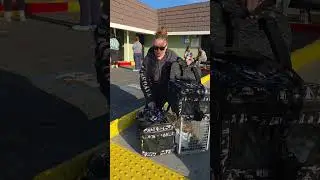 День ветеринара!