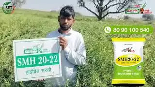 SMH 20-22 हाइब्रिड सरसों बीज 🌱 || SVHSPL || 📞 80 90 100 540