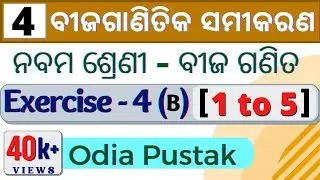 Algebraic Equations Exercise | ବୀଜଗଣିତିକ ସମୀକରଣ | 9th Class Algebra Chapter 4 | 9th Math EXERCISE 4B