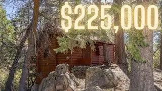 Big&nbsp;Bear&nbsp;New&nbsp;Listing&nbsp;Property&nbsp;Tour