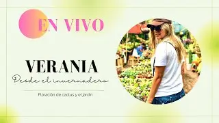 Sorpresa!! Verania Torres is going live!