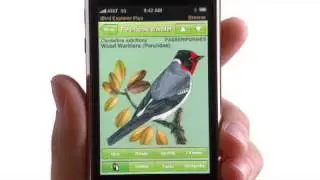 iPhone 3G