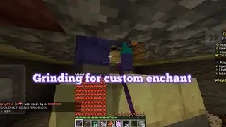 Grinding For Custom Enchant In This Minecraft Lifesteal Server | AppleMc Server 🍎| Minecraft smp