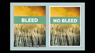 Difference between a Bleed and a No Bleed page size | Amazon self publishing