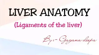 Ligaments of liver (part-4)