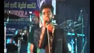 Diviyama Wage Mangala Denex With Rana With Aura