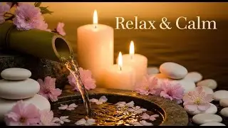 Forest Rain Zen Ambience Bamboo Fountain and Candle Glow for Deep Relaxation Meditation and Calm