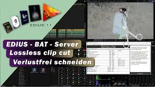 EDIUS - BAT Server - Verlustfrei Clips schneiden (super geeignet f&uuml;r Tier- und Drohnenfilmer)