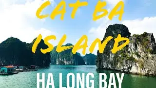 CAT BA ISLAND, HA LONG BAY & MONKEY ISLAND BOAT TOUR | TRAVEL VLOG