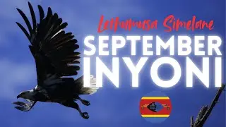INSHUMAYELO YELISHUMI NAKUBILI.