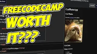 Responsive Web Design Final Thoughts | Mastering Web Design: My FreeCodeCamp Adventure & Beyond! 🚀🌐