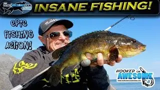 Insane Fishing!! Rod bending action | TAFishing