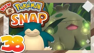 Alle Auftr&auml;ge beim verborgenen Pfad! | NEW POK&Eacute;MON SNAP 📷 | #38