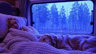Rain and Thunder Sounds for Stress Relief and Deep Sleep at Night