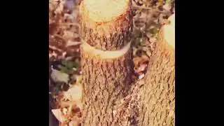How to use 🔥 tools& machine #sciencebreakthrough #funny #tricks#magic experiment #viralvideo