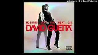 David Guetta - Where Them Girls At (feat. Nicki Minaj & Flo Rida) (Clean Acapella)