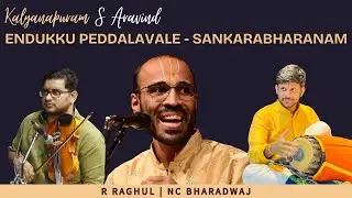 Enduku peddala - Shankarabharanam - Thyagaraja Swami | Kalyanapuram S Aravind
