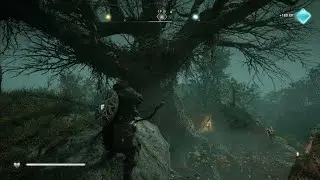 AC Valhalla : Big Tree Cent Destroy Cursed Symbol