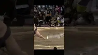 Охо против Роги Кюсю Басё 2023 #sumo #сумо #duel #fight #japan #богатырь #япония #борьба