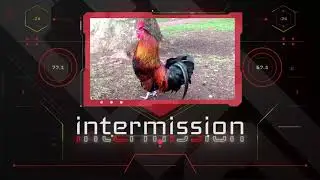 TeamBBC - In The Groove - Twitch Stream Preview Demo