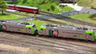SBB und BLS Güterverkehr auf der Modelleisenbahn-Anlage der Winterthurer Eisenbahn Amateuren