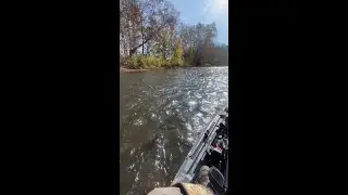 Shearwater125 (14).mp4