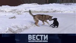 Выпуск от 23.03.2019
