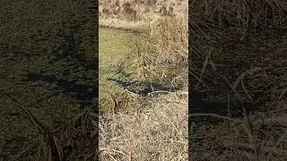Находясь во Флориде