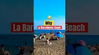Пляж Барселонета | Лучшие места для туристов | Гондал Спаркс #шорты