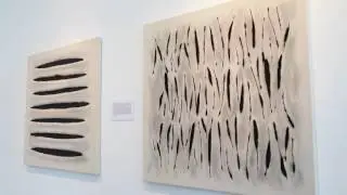 JOAN WULF : AMBIGUOUS REALITY