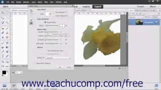 Photoshop Elements 13 Tutorial Refining Selection Edges Adobe Training