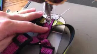 Homemade Kids Leash and Harness