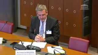 29/06/2023 Organisation des groupuscules violents en manifestations : Me Thibault de Montbrial, p...