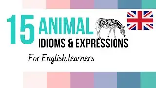Learn ANIMAL IDIOMS and EXPRESSIONS in English 🇬🇧 with meanings and examples