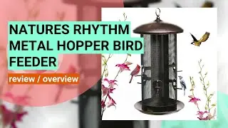 Review: Nature's Rhythm Metal Hopper Bird Feeder - Dual Chambers & 10 Feeding Ports