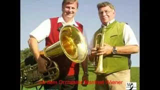 Orchester Manfred Wiener - Im Dorfstadl Polka