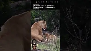 Nature's Strength #shorts #cub #babyanimals #inspiration
