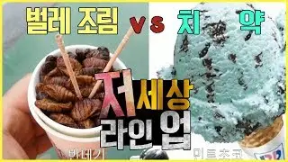 편식 월드컵