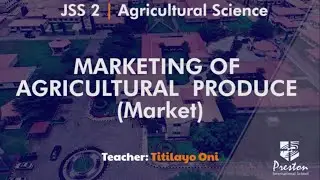 Marketing of Agricultural Produce (Market) - JSS2 Agric