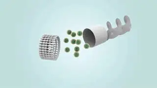 Capsule microrobot by DGIST