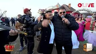 Carlos Albamezul  💢💢💢Top dedicatii Nunta Luminita & Florin💢💢💢