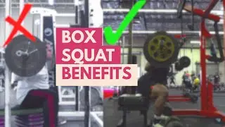 How To Box Squat to FIX YOUR SQUAT (NO Knee Pain)