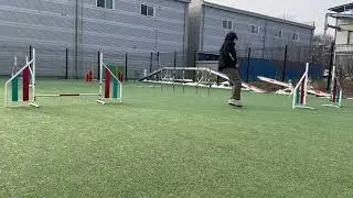 Agility : Handling with Agur 04/01/2026