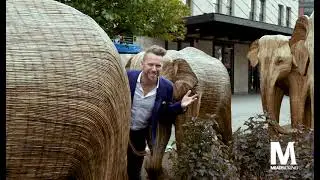 The Great Elephant Migration Arrives in the Meatpacking District