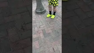 Shrek Drip Perfected.