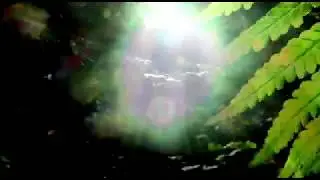 Music Mahal - Serombatera
