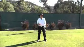Upper Body Sway