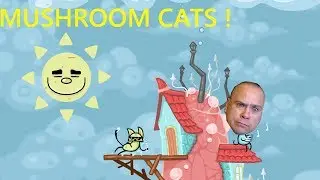 MUSHROOM CATS | CATS NEED HATS!
