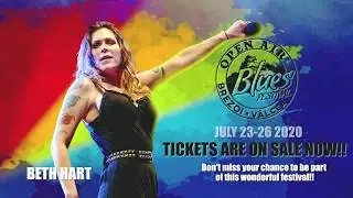 Open Air Blues Festival Brezoi - V&acirc;lcea 2020 /Romania